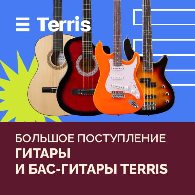 Большое поступление гитар Terris