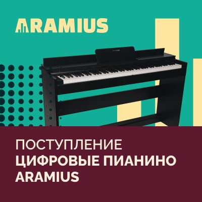 Поступление цифровых пианино Aramius 