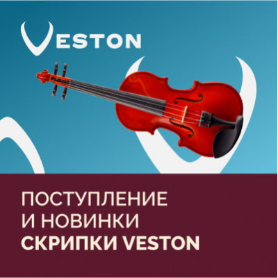 Скрипки Veston: поступление и новинки