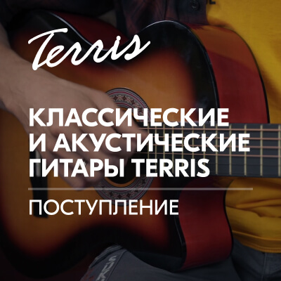 Поступление классических и акустических гитар TERRIS