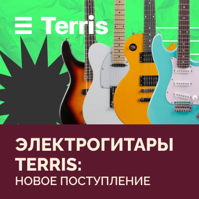 Электрогитары TERRIS: инструменты для будущей рок-звезды! | Новое поступление 19.05.2023
