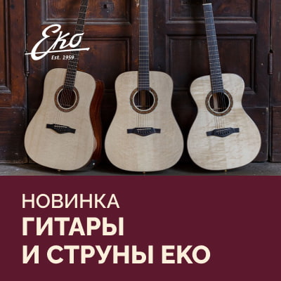 Новинка: гитары и струны Eko