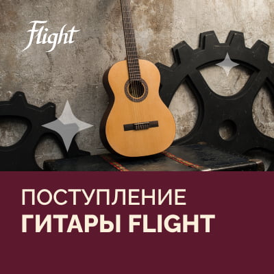 Поступление классических и акустических гитар FLIGHT