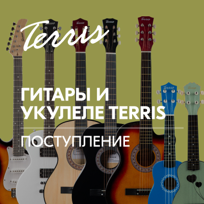 Поступление: гитары и укулеле Terris