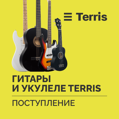 Поступление гитар и укулеле TERRIS
