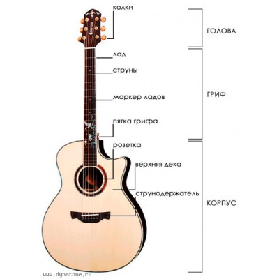 Верхняя дека акустической гитары: что выбрать - массив или ламинат?