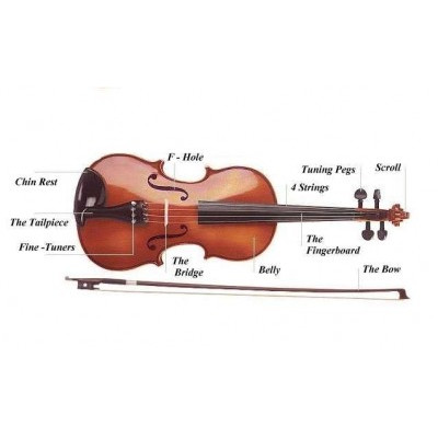 Строение скрипки